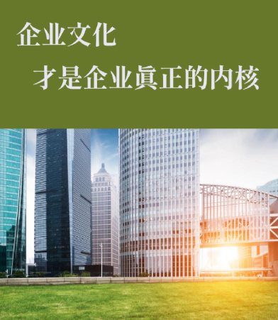 重庆易米达科技有限公司软件开发服务的技术架构与交付流程解析